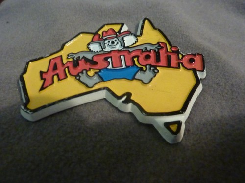 Souvenir fridge magnet - fridge,