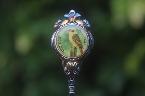 Vintage spoon kookaburra - vintage,