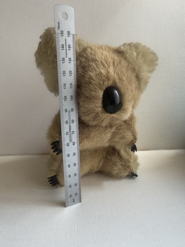 Koala australian souvenir from - australian,