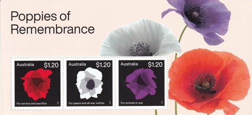 2023 australia poppies - 2023,