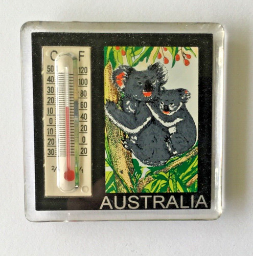 Australia souvenir fridge - australia,